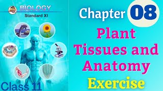 Plant Tissues and Anatomy class 11 biology chapter 8 exercise solutions