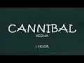 Kesha - Cannibal (1 Hour Lyrics)