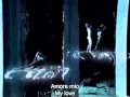 O Mare e Tu - Andrea Bocelli ft Dulce Pontes with English subtitle