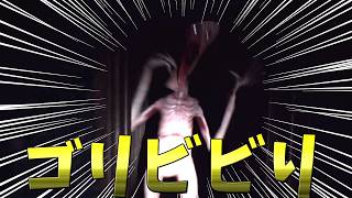 【ホラゲ】悪夢の中でバカビビりするホラーゲームがヤバすぎたｗ【the lost fear】