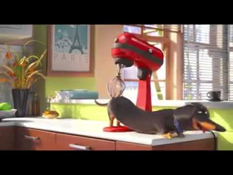 Hund wir von Mixer gekrault