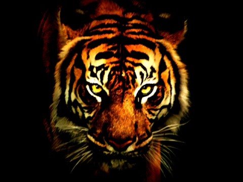 Eye Of The Tiger Dancehall Mix (reggae)