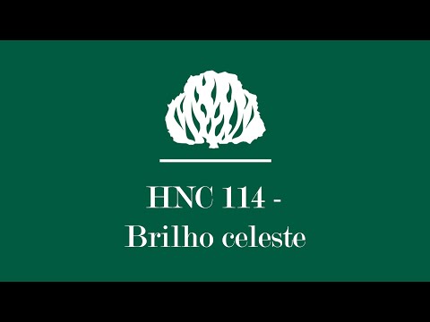 HNC 114 - Brilho Celeste [Letra] | Hinário Novo Cântico Presbiteriano