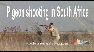 Dove and Pigeon Shooting South Africa £175 per day 2018 United Kingdom