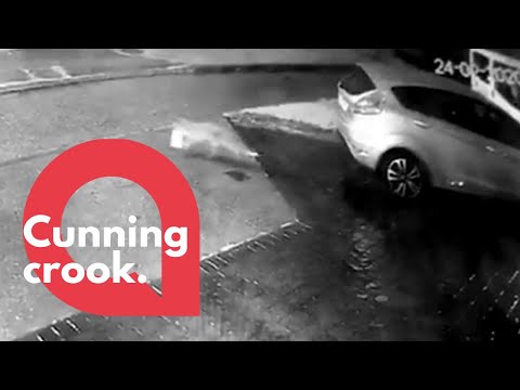 A cheeky fox has been caught on CCTV stealing milk | SWNS