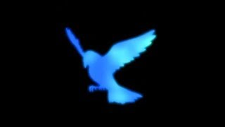 blue bird ikimono gakari musicplayer blue bird ikimono gakari musicplayer