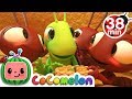 The Ant and the Grasshopper + More Nursery Rhymes & Kids Songs - CoComelon