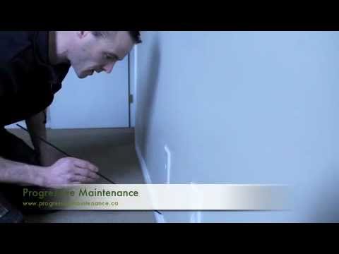 Find Bed Bugs Calgary (Find Bed Bug)