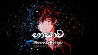 Download lagu 𝙎𝙞𝙩𝙝𝙞 𝙟 𝙁𝙩 𝙇𝙞𝙡 𝙍𝙤𝙢𝙚 𝙋𝙧𝙖𝙗𝙖 - 𝘽𝙖𝙨𝙝𝙖𝙬𝙖 (භාශාව ) 𝙎𝙡𝙤𝙬𝙚𝙙  𝙍𝙚𝙫𝙚𝙧𝙗 mp3