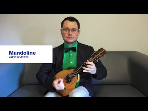 Mandoline lernen an Musikschule Konservatorium Zürich