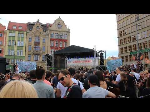 Thanks Jimi Festival Wrocław 2018 - Hey Joe
