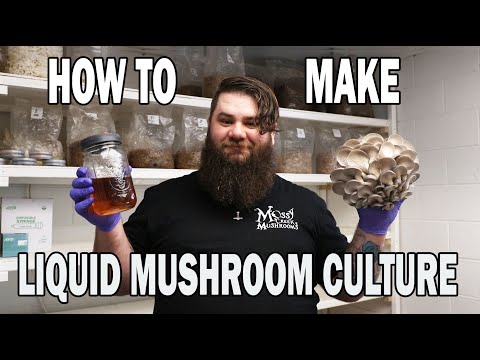 Liquid Mushroom Culture from Gourmet Oyster Mushrooms, New Episode in How to grow Mushrooms Series