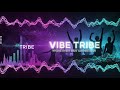 New AI-Generated Track by Vibe Tribe – Sunset Sway