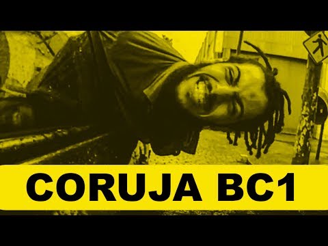 CORUJA BC1 - #SHOWBUZZ CIRCADÉLICA 2017