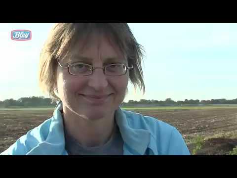 NWZ Kohlfahrtspiel Nr.8: Blindwerfen