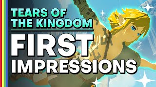 Hundreds of Hours In, We Love Tears of the Kingdom (Spoiler-Free )
