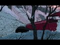101 Dalmatians Cruella S Car Chase Spanish