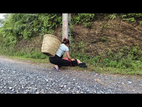 Vídeo completo: Mora com os netos na fazenda, pega porcos, vai ao mercado.