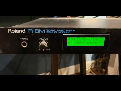 Roland SN-R8-02 Jazz Brush 1990s - Black image 2