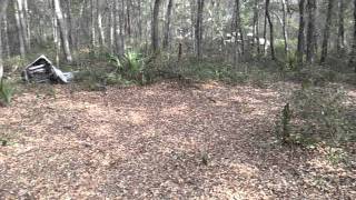 preview picture of video 'Ocala Jeep Trails,  part 4'