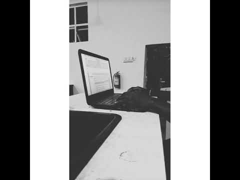 WIZKID THROWBACK FREESTYLE MIX