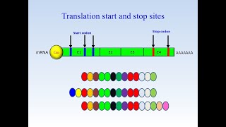 Download lagu Bioinf Class 1, Part 3- Secondary databases mp3 Download lagu Bioinf Class 1, Part 3- Secondary databases mp3
