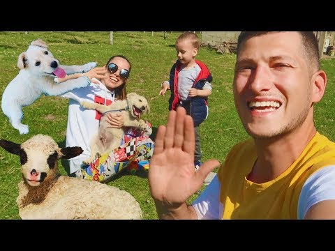 POTRAGA ZA PSOM I IGRACKOM