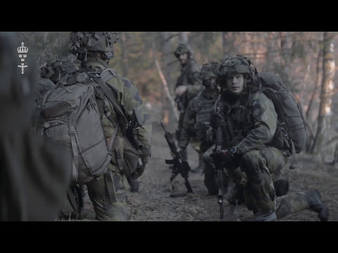 Aurora 17 - för ett starkare försvar och ökad samlad förmåga