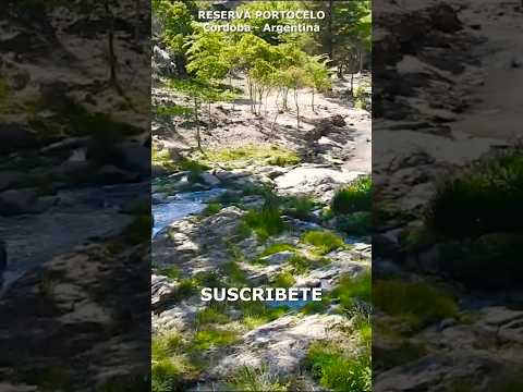 RESERVA PORTECELO #shorts #short #tour #tourism #walk #portecelo #cordoba #villagiardino #argentina
