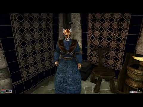 Morrowind Hardcore Mode - Lets Play #2
