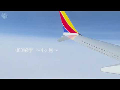 児童教育学科 20230919【英語英米文学科】STAYS-03(UCD)