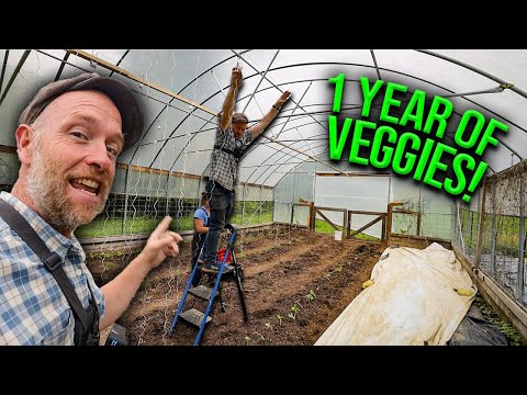 We Trellised a years worth of veggies (in a morning)