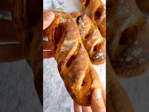 トマト酵母の使い方は？あまり知られていないが効果的な肥料に注目！  庭園