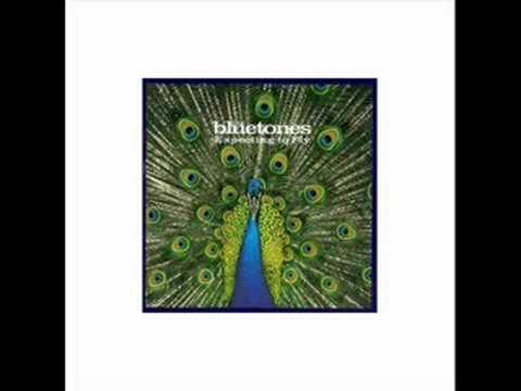 Carnt Be Trusted - The Bluetones