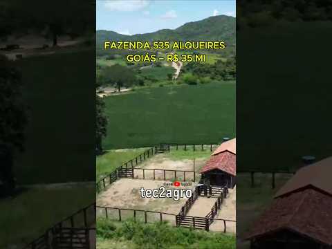 🌱 FAZENDA 535 ALQUEIRES EM GOIÁS – R$ 35 MI #fazenda #tec2agro #gado