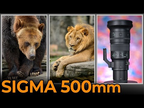 Sigma 500mm F5.6 DG DN OS - Review and Test