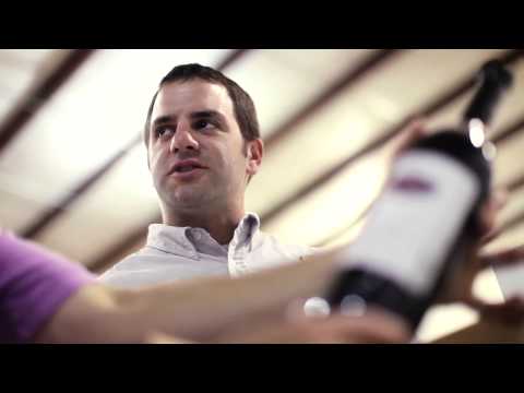 From Juices to Supplements: Muscadine Products Corporation