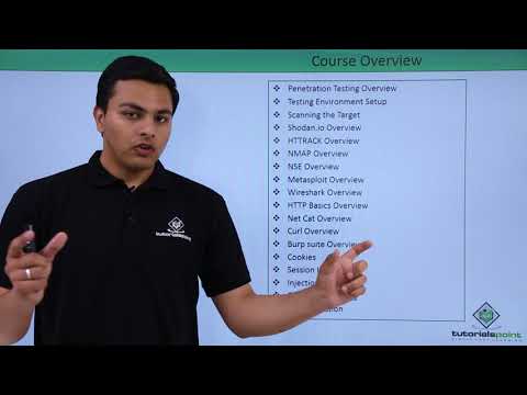 What is Web Application Penetration Testing?