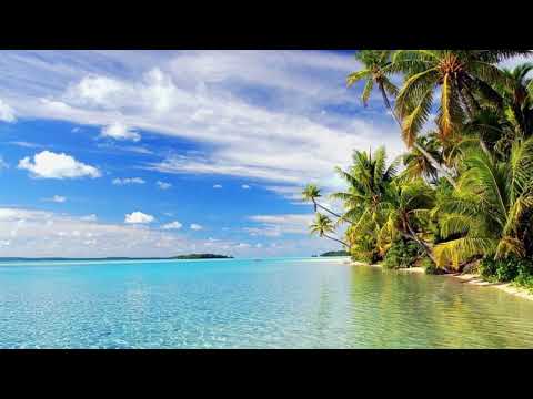 Pualena x Aitutaki Paradise | FlipTheScripta remix