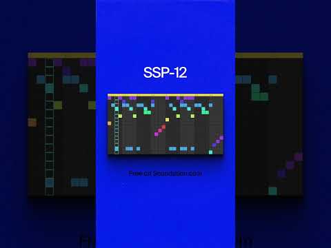 SSP-12 Beatmaker kit!