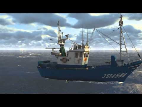 ⁣NaderWanis ISLAND