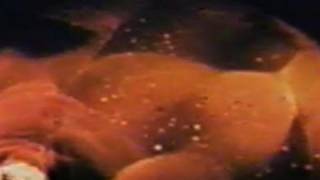 Splitting atoms in the kitchen?