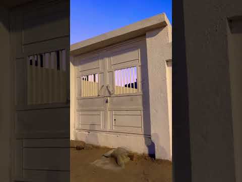 Grave of Maymunah bint al-Harith