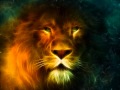 Jungle Classics Mix 2014 |HD| 