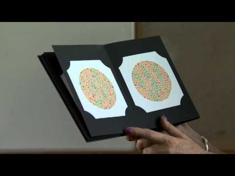Demonstrating Colour Vision screening - Pass