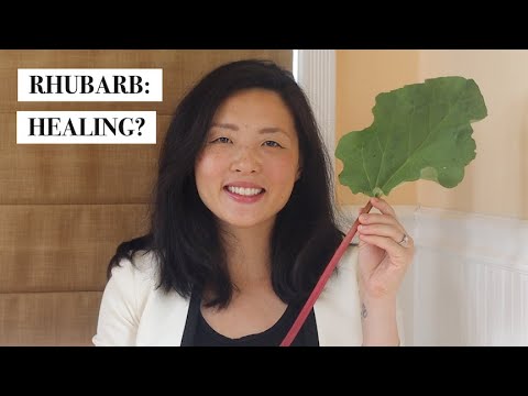 Rheum Rhabarbarum Extract Powder