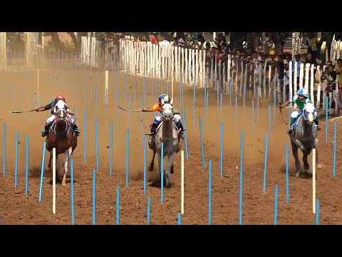 CORRIDA DE CAVALOS - TANQUE DO PIAUÍ 2026 / Tradicional Festa do Vaqueiro 