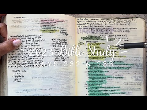 Study the Bible in One Year: Days 232 & 233 Habakkuk 1-3, Jeremiah 41-45