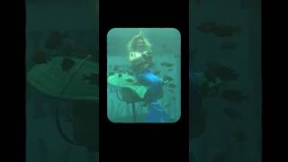 Download lagu TXST 125: Aquarena Springs mp3 Download lagu TXST 125: Aquarena Springs mp3