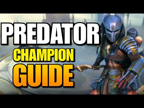 Predator Guide: Best Build, Gear & Masteries for an elusive DAMAGE MONSTER! | RAID: Shadow Legends